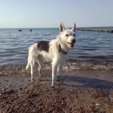 In Rethwisch Casa vacanze *