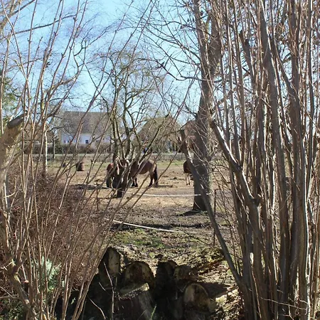 In Rethwisch 度假居