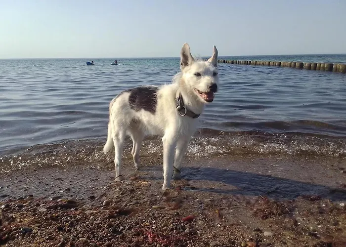 In Rethwisch Semesterbostad *