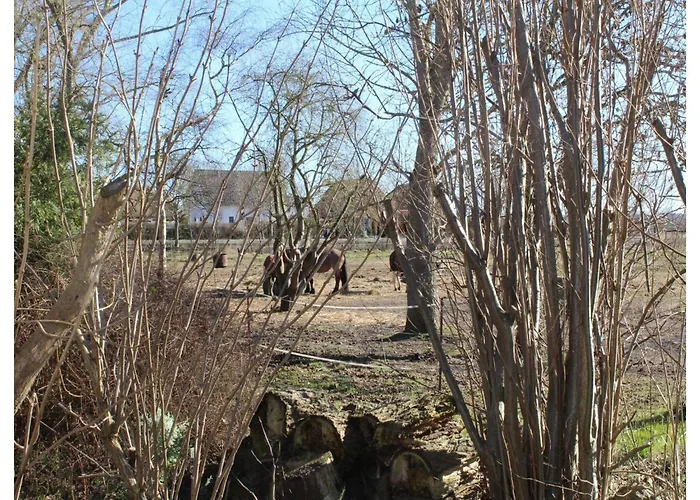 In Rethwisch Semesterbostad